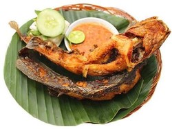 Sampai Dituduh Pemicu Kanker, Benarkah Lele Ikan yang Jorok?
