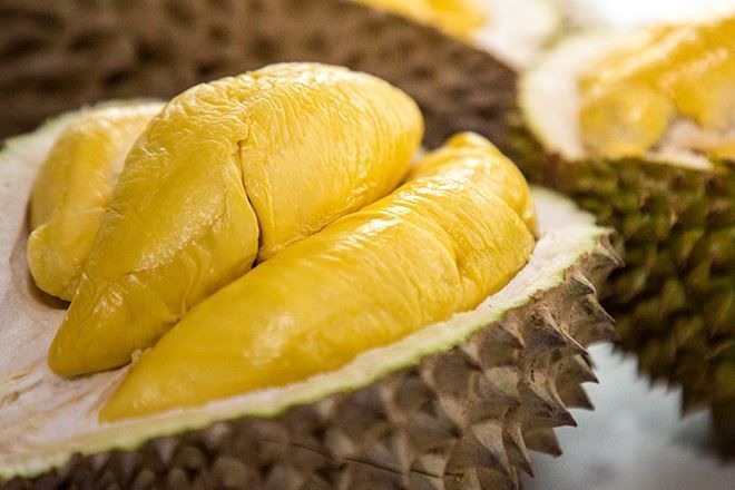 durian musang king