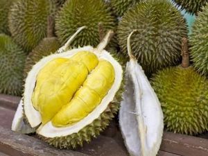 Jahe Merah hingga Durian, 5 Makanan Ini Kena Imbas Virus Corona Jahe Merah hingga Durian, 5 Makanan Ini Kena Imbas Virus Corona