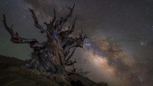 Jepretan Fantastis Finalis Kontes Foto Astronomi