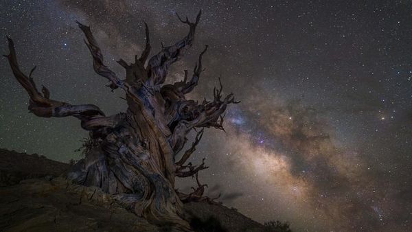 Jepretan Fantastis Finalis Kontes Foto Astronomi