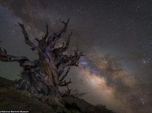 Jepretan Fantastis Finalis Kontes Foto Astronomi