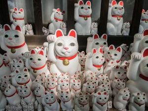 Foto Kucing Pembawa Keberuntungan dari Jepang