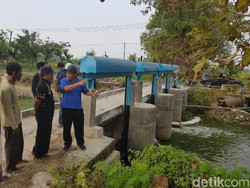 485 Hektar Lahan Padi di Lamongan Terancam Kekeringan, Ini Rinciannya