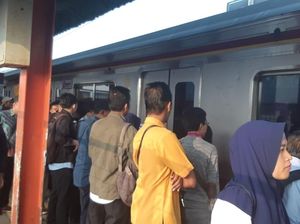 KRL Lintas Cilebut-Bojong Gede Sempat Terganggu Akibat Pohon Tumbang KRL Lintas Cilebut-Bojong Gede Sempat Terganggu Akibat Pohon Tumbang