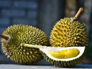 Karena Mirip Kata Durian dan Rambutan, Nama Dua Bocah Ini Jadi Viral Karena Mirip Kata Durian dan Rambutan, Nama Dua Bocah Ini Jadi Viral