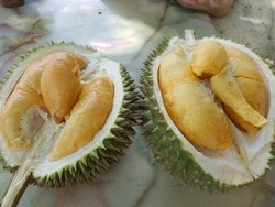 Durian Boleh Masuk Kargo Pesawat, Asalkan...