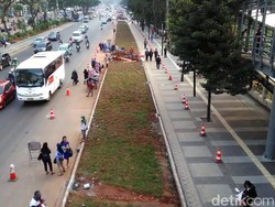 Halte Jl Sudirman Terhalang Rumput, Warga Tunggu Bus di Jalan Raya