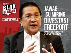 Blak-blakan Bos Freeport Jawab Isu Miring Divestasi