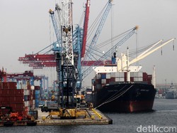 OECD Ramal Ekonomi RI Tumbuh 5,2% Tahun Ini