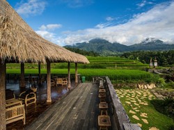 Keren! 6 Restoran Ini Suguhkan Pemandangan Sawah hingga Samudra