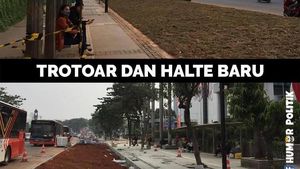Heboh Halte di Sudirman Terhalang Rumput