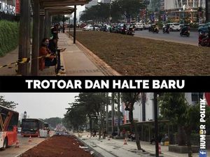 Heboh Halte di Sudirman Terhalang Rumput