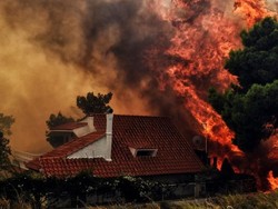 Kebakaran Hutan di Yunani Tewaskan 50 Orang, Lebih dari 100 Luka