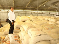 Mentan Ingin Perizinan Ekspor Jagung di Tojo Una-una Dipermudah