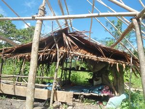 Kelaparan, 3 Warga Suku Terpencil di Maluku Meninggal Dunia