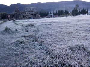 Embun Es Terjadi Lagi di Dieng, Kali Ini Area Cakupan Lebih Luas