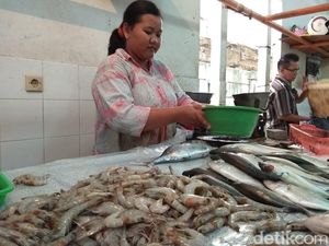 Susi Bilang Lebih Murah dari Ayam, Berapa Harga Ikan di Pasar? Susi Bilang Lebih Murah dari Ayam, Berapa Harga Ikan di Pasar?