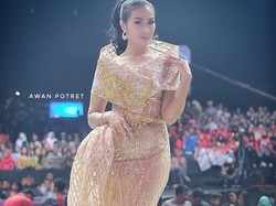 Ogah Polisikan Haters, Iis Dahlia: Mending Gue Nyapu Ngepel