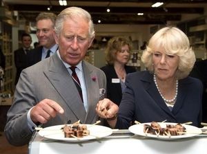 Ini Alasan Camilla Tak Dipanggil Putri Seperti Diana