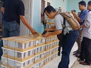 KLHK Usut Penyelundupan Ribuan Burung Dilindungi di Jambi KLHK Usut Penyelundupan Ribuan Burung Dilindungi di Jambi