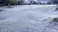 Foto: Dieng Bagaikan Musim Dingin di Eropa