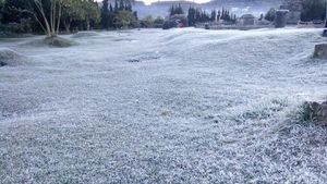 Foto: Dieng Bagaikan Musim Dingin di Eropa