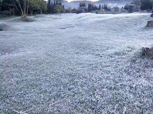 Foto: Dieng Bagaikan Musim Dingin di Eropa