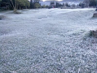 Foto: Dieng Bagaikan Musim Dingin di Eropa