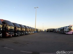 1.400 Bus Disiapkan Angkut Jemaah RI dari Madinah ke Mekah