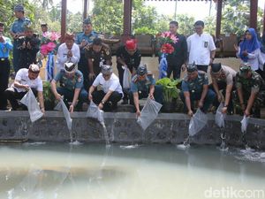 Pertama di Jatim, Banyuwangi Bangun Kampung Sidat Pertama di Jatim, Banyuwangi Bangun Kampung Sidat