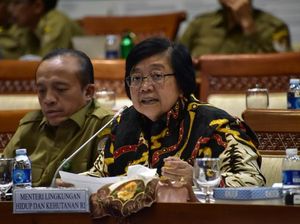 Ini Langkah KLHK Atasi Masalah Lingkungan Freeport