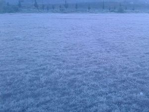 Embun Es Muncul Lagi di Dieng, Ini Kata Pengelola & Pemandu Wisata