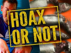 Beredar Pesan Berantai Telur Ikan Bikin Kanker Kulit, Hoax Bukan?