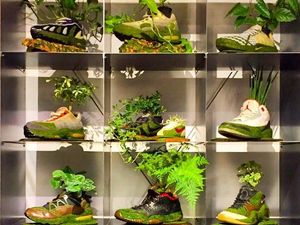 Keren Banget! Sneakers Bekas Disulap Jadi Pot Tanaman Unik
