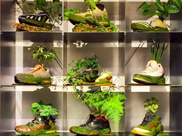 Keren Banget! Sneakers Bekas Disulap Jadi Pot Tanaman Unik