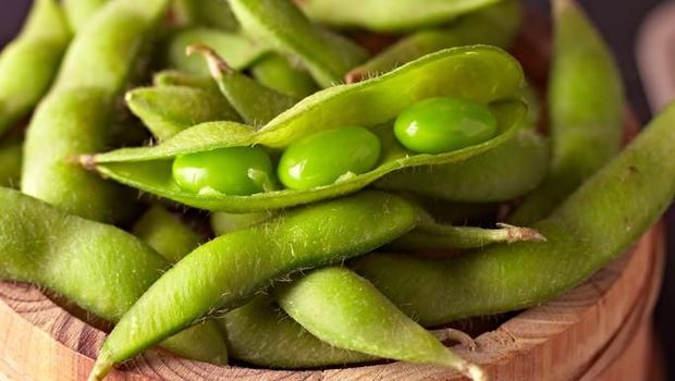 Ilustrasi edamame