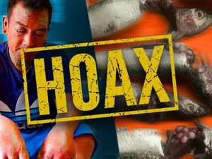 Glugea Tumor di Perut Sarden, Hoax Lama yang Muncul Melulu