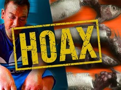 Glugea Tumor di Perut Sarden, Hoax Lama yang Muncul Melulu