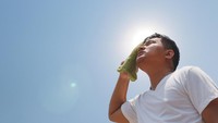 Gejala Heat Stroke Lengkap Cara Mencegahnya Saat Cuaca Panas