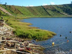 Kekeringan, Petani Kentang di Banjarnegara Sedot Air Telaga di Dieng