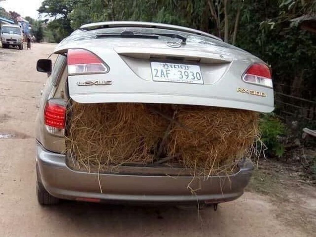 Orang Kaya! Mobil Mewah untuk Angkut Jerami Orang Kaya! Mobil Mewah untuk Angkut Jerami