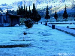 3 Tahun Dieng Terekam Membeku di Bulan Juni-Juli