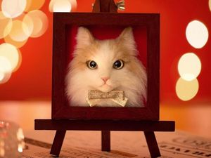 Keren! Seniman Jepang Ini Bisa Sulap Benang Wol Jadi Kucing