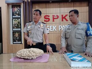 Polisi Cabut Jamur yang Tumbuh di Makam Warga Jember