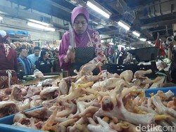 Omzet Turun Hingga 70%, Begini Curhatan Pedagang Ayam di Surabaya