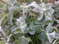 Suhu Dingin Kembali Melanda Bandung, Ini Penyebabnya