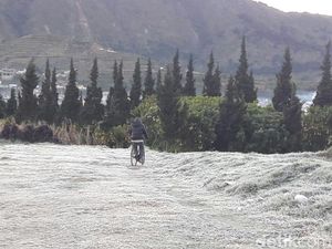 Foto: Embun Es Selimuti Dieng saat Minus 3 Derajat Celcius