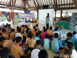 Temuan Sarang Penyu Meningkat 200%, Ini Kata Aktivis di Banyuwangi