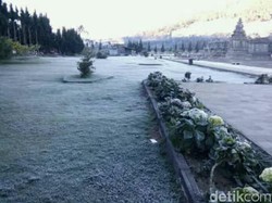Cantiknya Dieng yang Memutih di Suhu Hingga Minus 5 Derajat Celsius